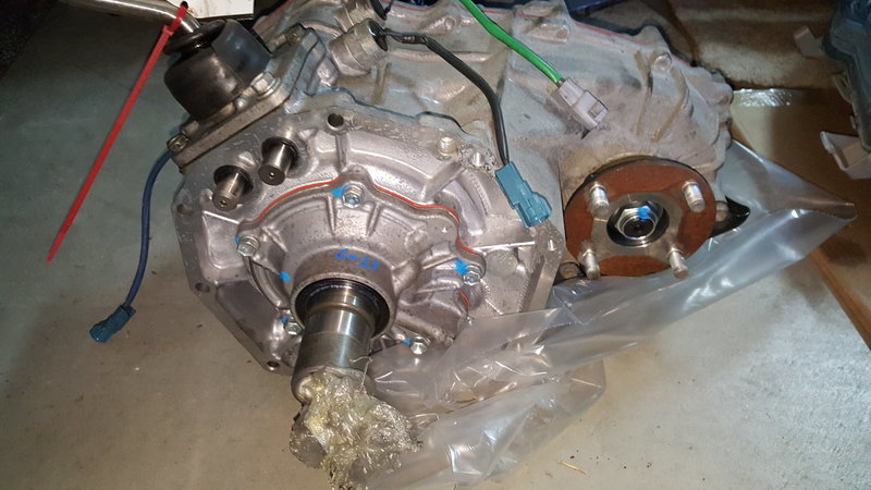 20160423_074307.jpg