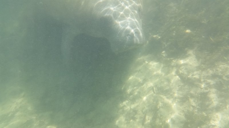 20160423_144456.jpg
