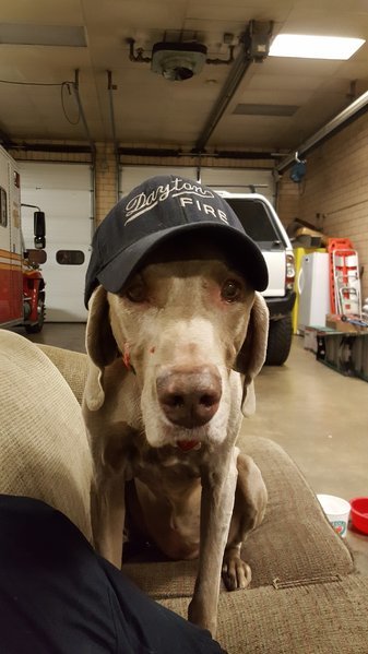 20160424_211843.jpg