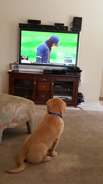 20160428_102015.jpg