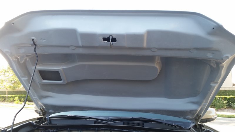 20160428_180649.jpg