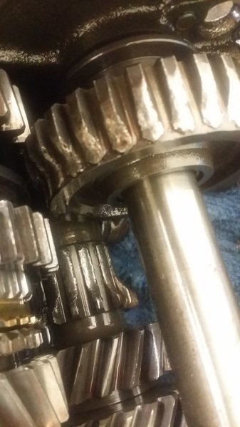 20160429_230517.jpg