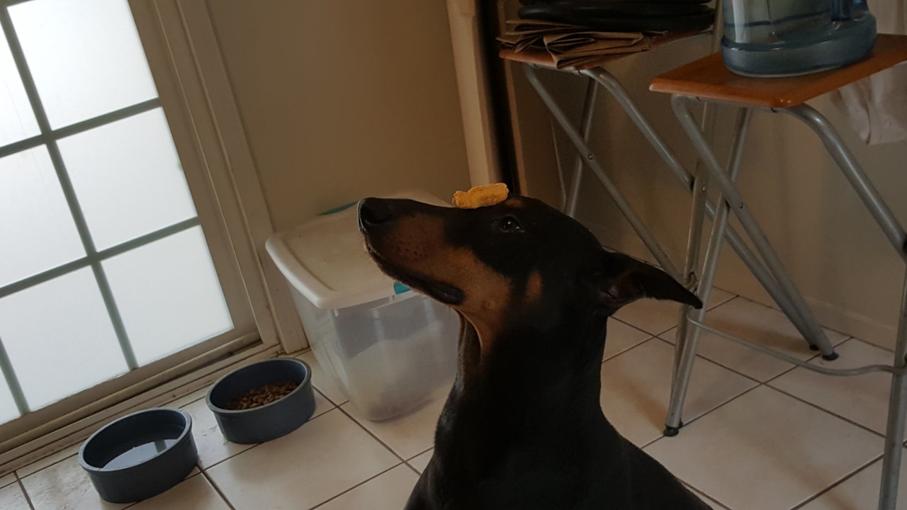 20160506_112037.jpg