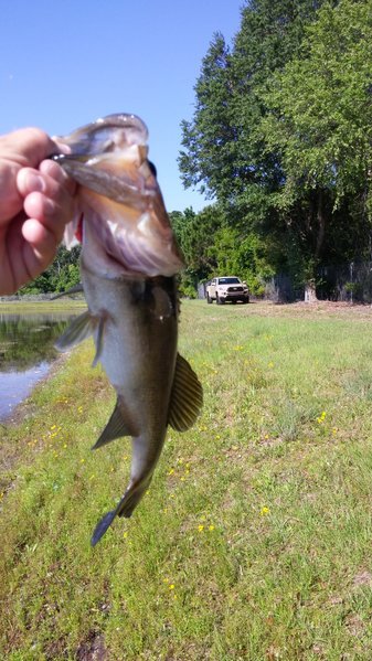 20160508_095203.jpg
