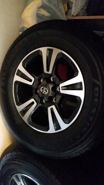20160513_064326.jpg