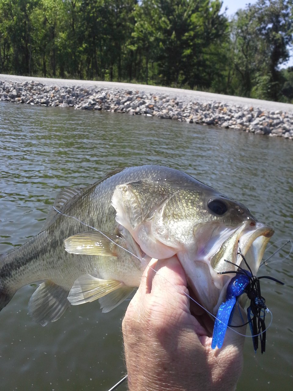 20160513_103123.jpg