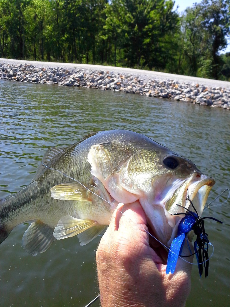 20160513_103123.jpg