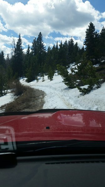 20160514_114906_resized.jpg