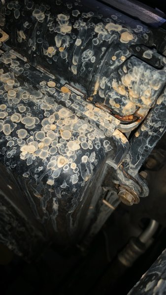 20160516_173308.jpg