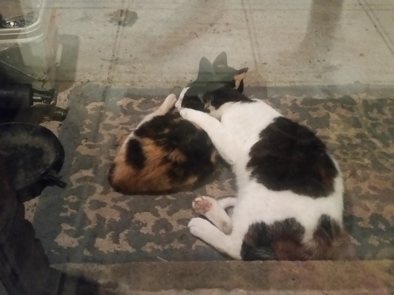 20160516_214248.jpg