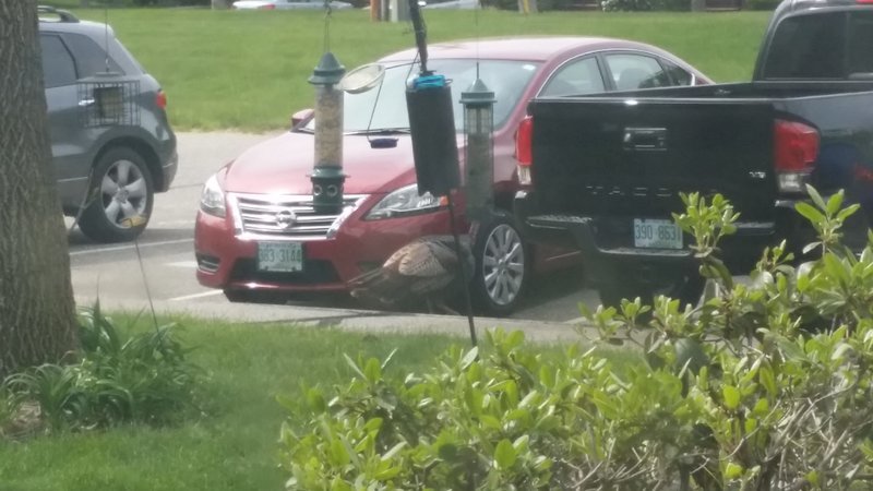 20160517_100214.jpg