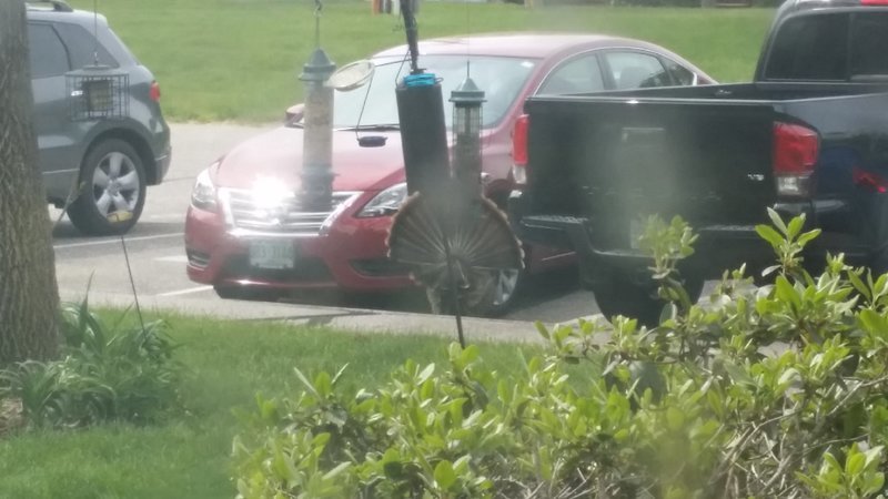 20160517_100320.jpg