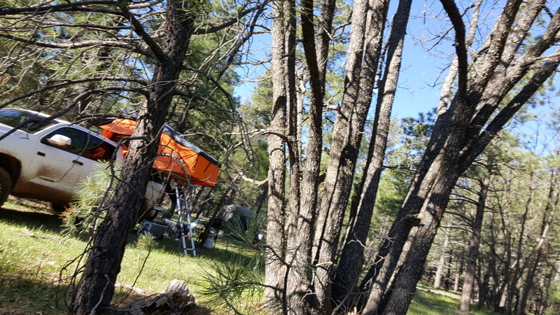 20160520_073245.jpg