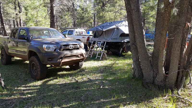 20160520_074132.jpg