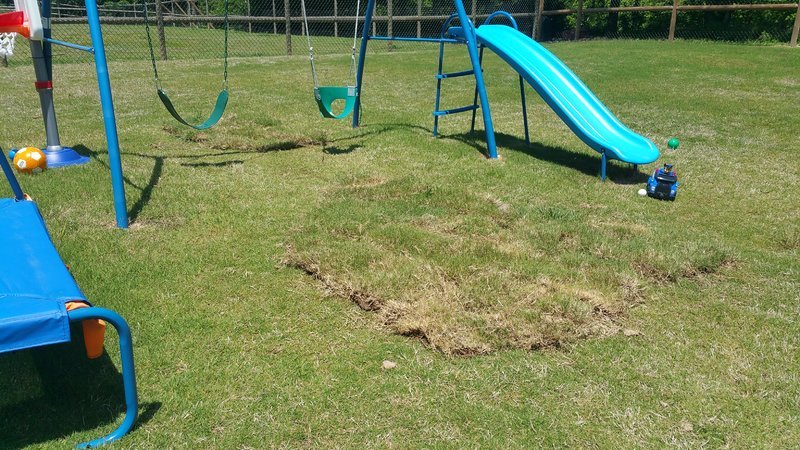 20160521_122444.jpg