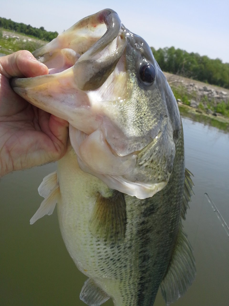 20160523_111020.jpg
