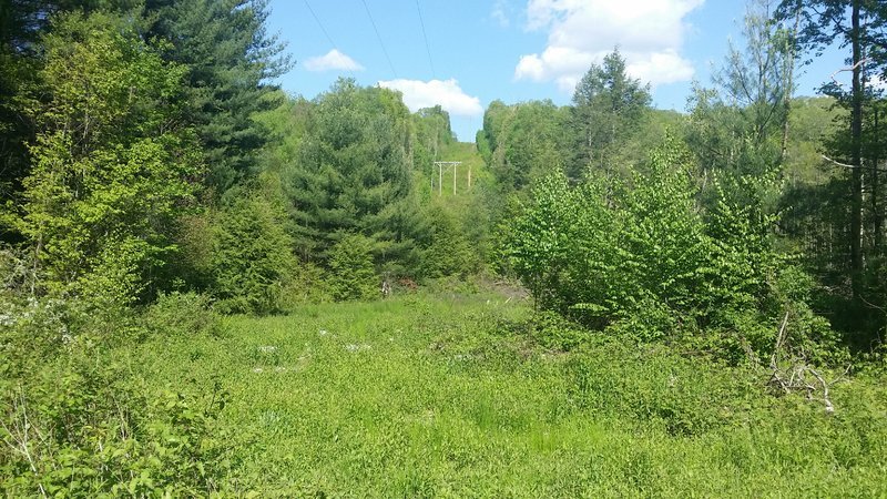 20160524_163707.jpg