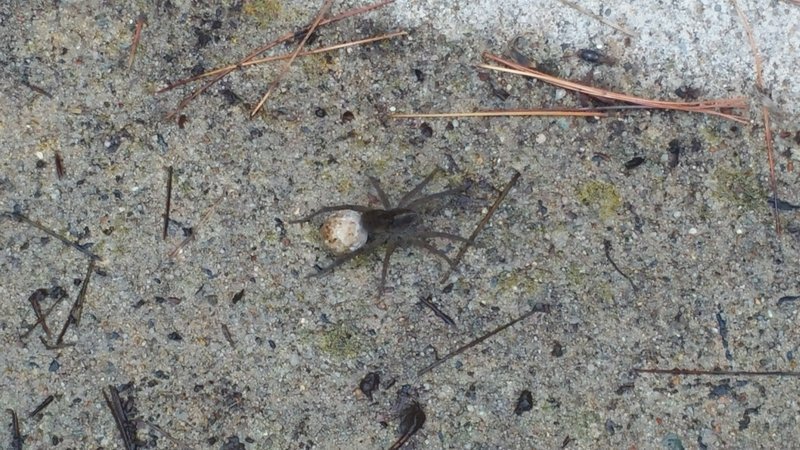 20160527_194235.jpg