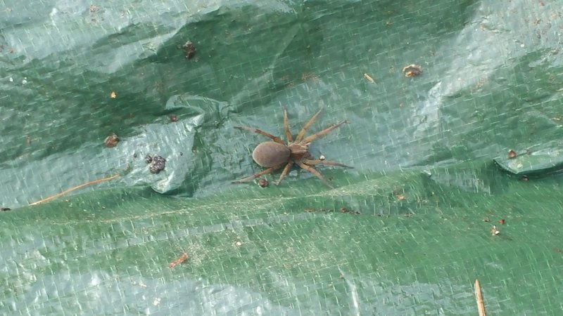 20160528_081441.jpg