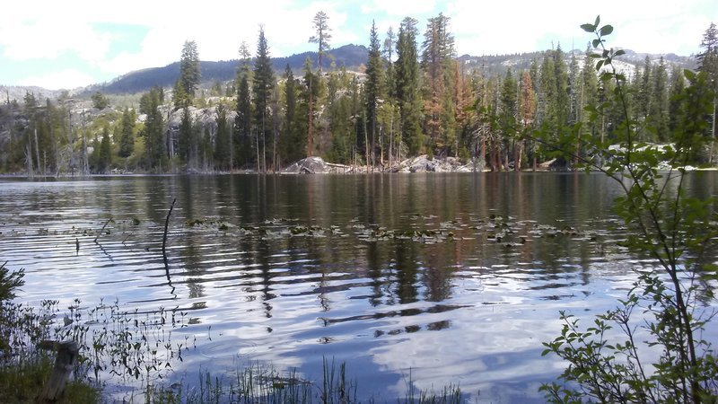 20160528_115052.jpg