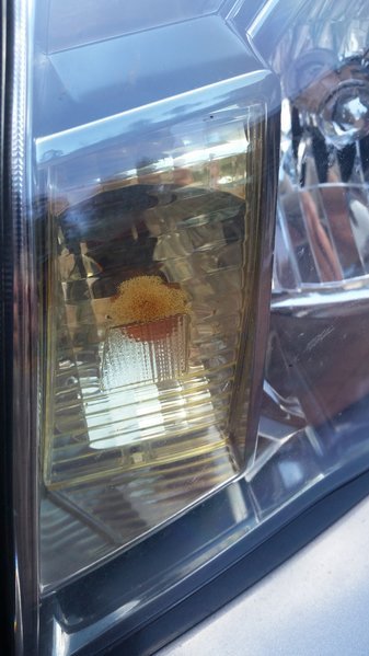 20160528_124210.jpg