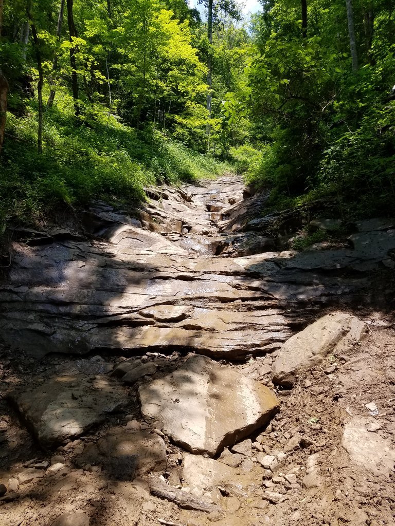 20160528_135116.jpg