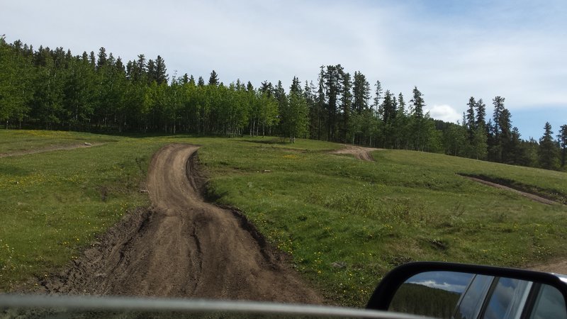 20160529_100153.jpg