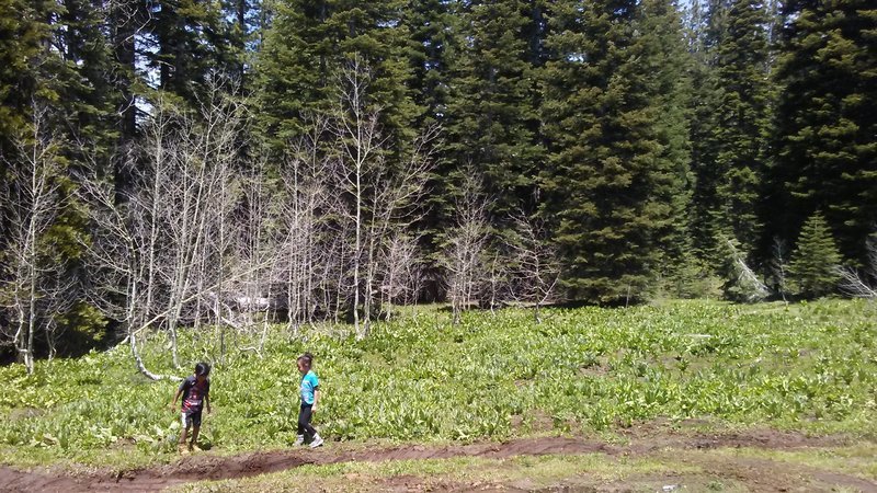 20160529_122832.jpg