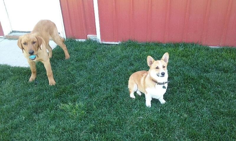 20160529_142217.jpg