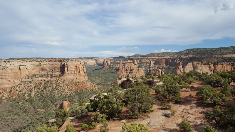 20160529_173352.jpg