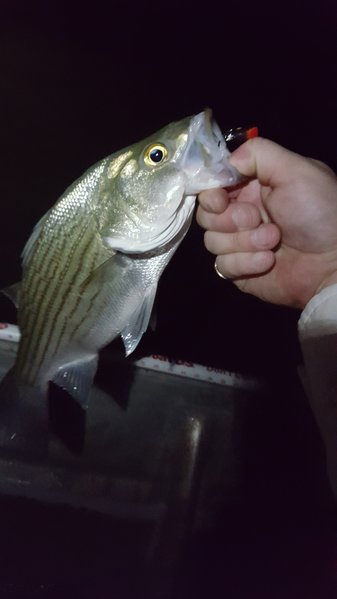 20160529_214735.jpg