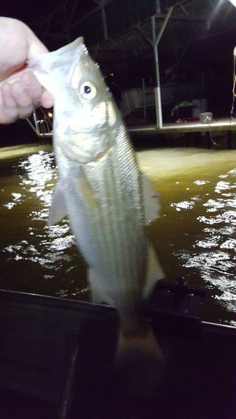 20160529_215956.jpg