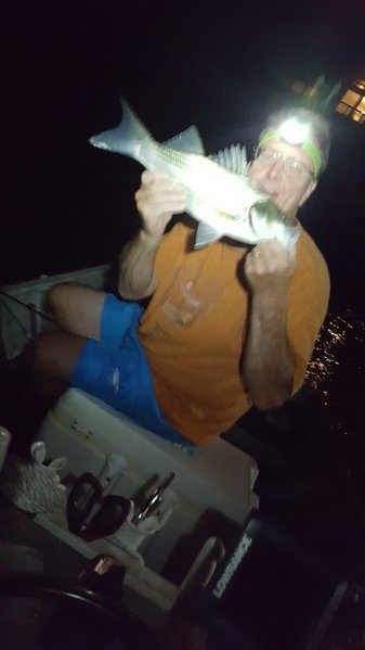 20160529_220249.jpg