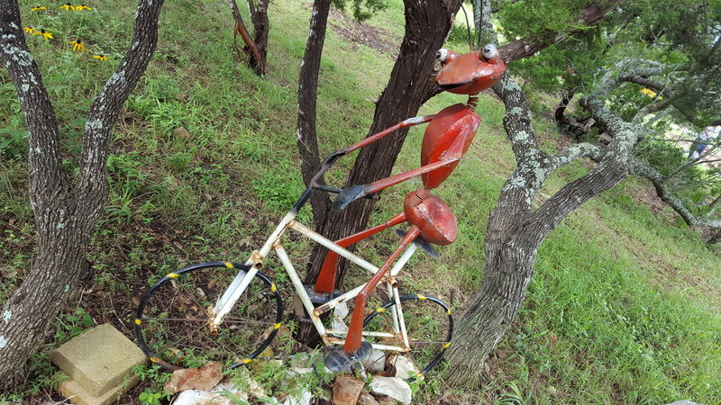 20160604_103432.jpg
