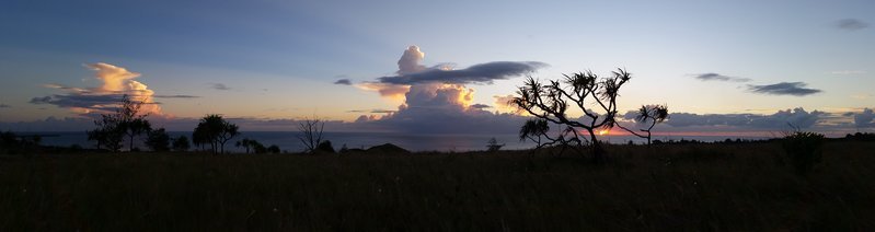 20160604_184459.jpg