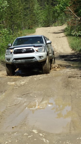 20160605_120614.jpg