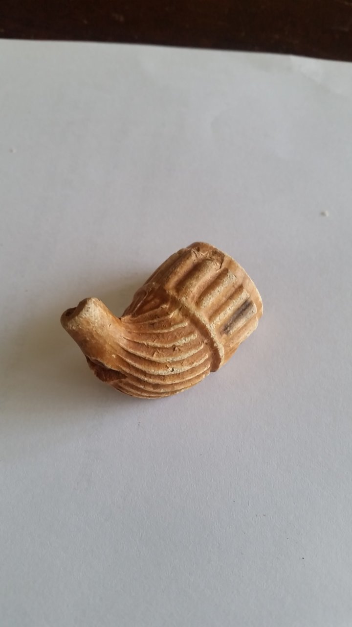 20160606_160937.jpg