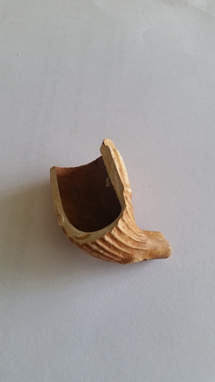 20160606_160953.jpg