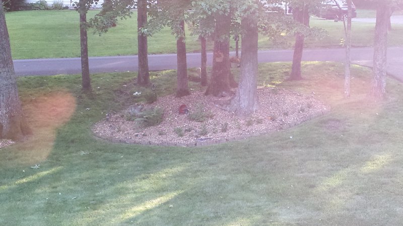 20160606_185822.jpg