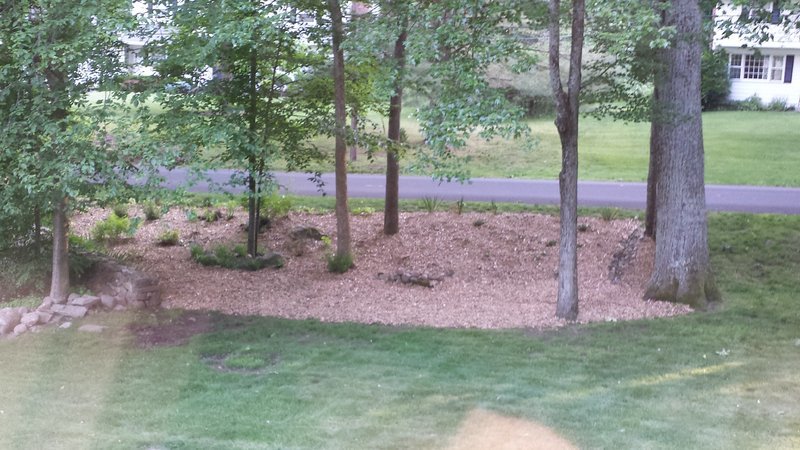 20160606_185853.jpg