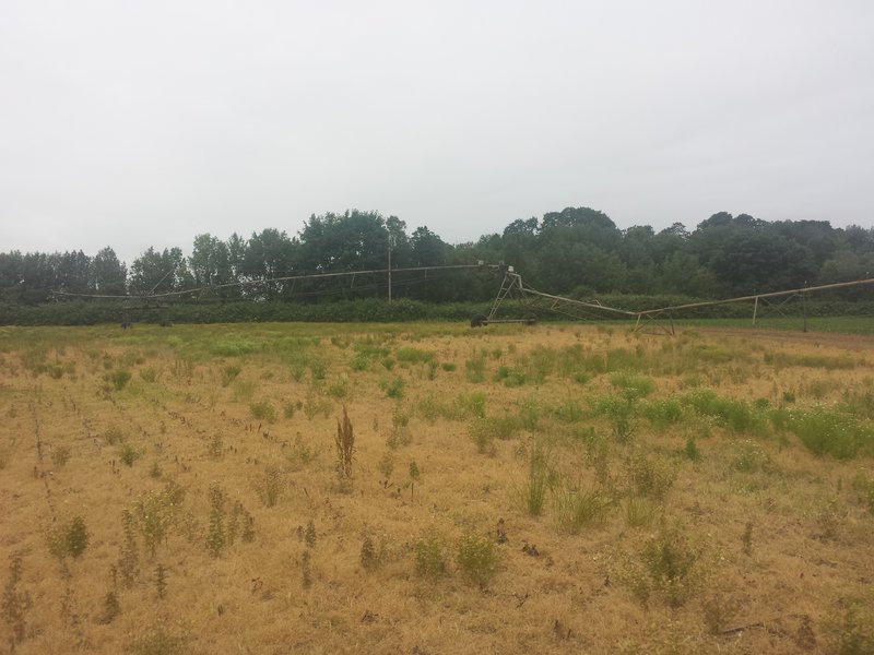 20160609_070813.jpg