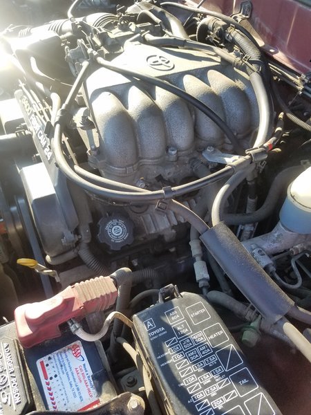 20160610_183716.jpg