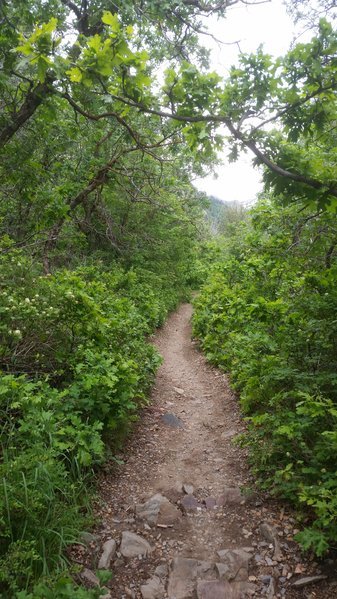 20160613_084707.jpg