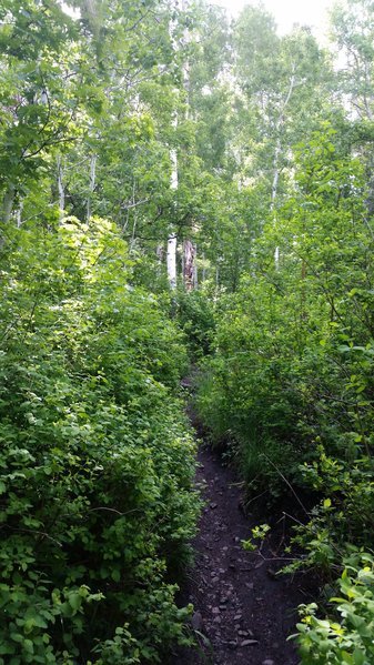 20160613_095119.jpg