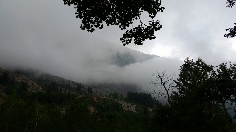 20160613_103305.jpg