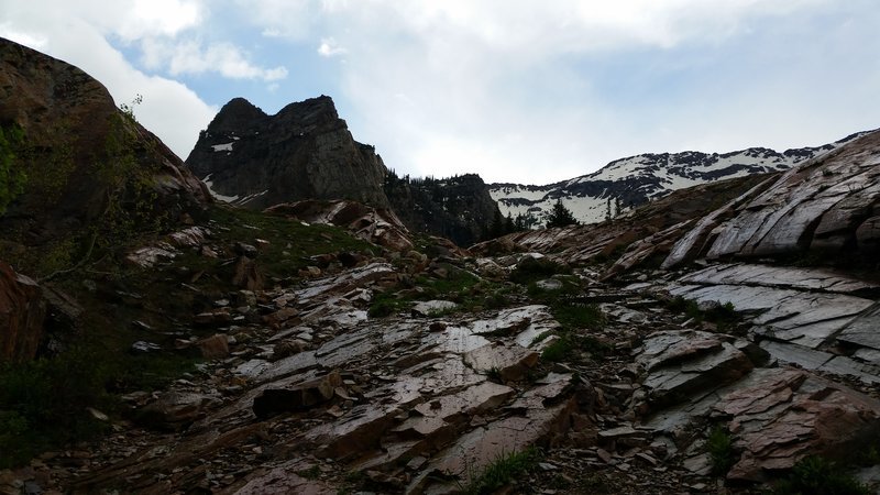 20160613_105936.jpg