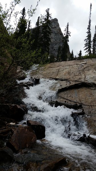20160613_120124.jpg
