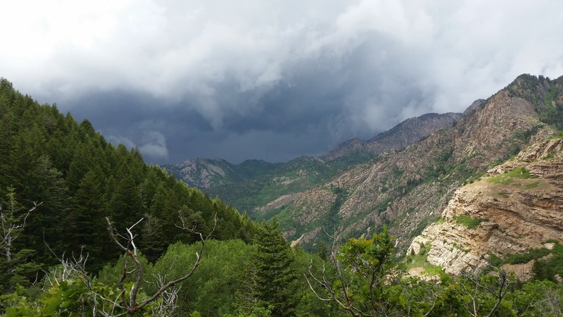 20160613_133912.jpg