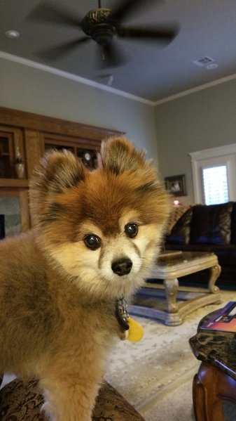 20160613_192451.jpg