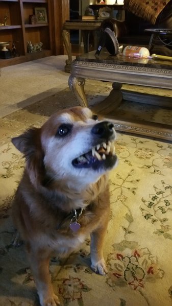 20160613_193511.jpg